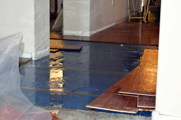 Professional Water Damage Restoration technician working in Afton, TN